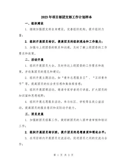 2023年项目部团支部工作计划样本