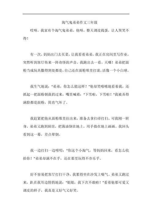 淘气鬼弟弟作文三年级