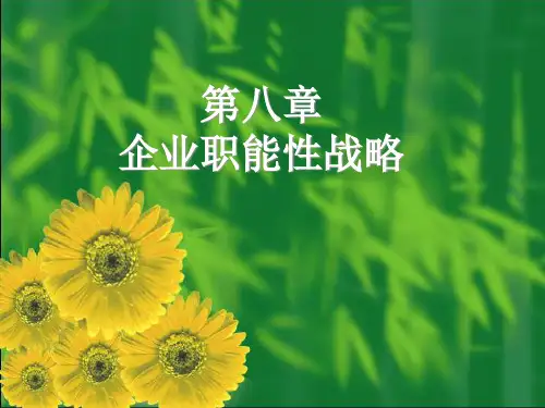 企业职能性战略讲义