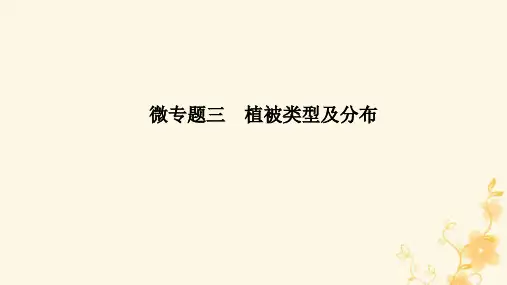 高三地理二轮专题复习微专题三 植被类型及分布