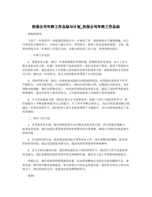 担保公司年终工作总结与计划_担保公司年终工作总结