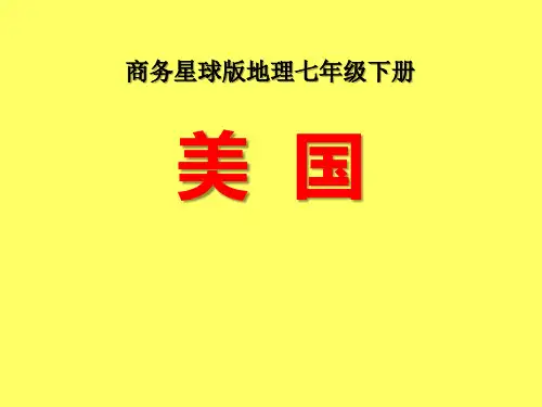 《美国》 完美课件