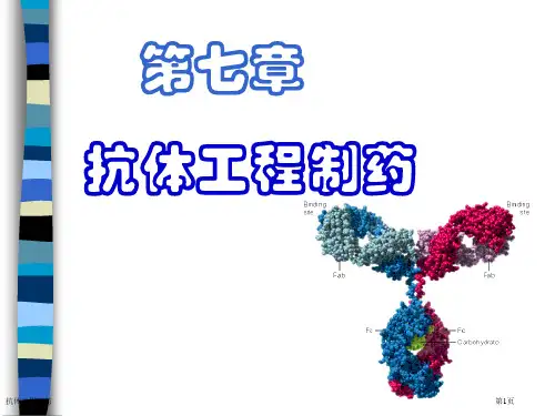 抗体工程制药