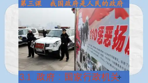 高中政治专题3.1政府的职能：管理与服务课件提升版新人教版必修2