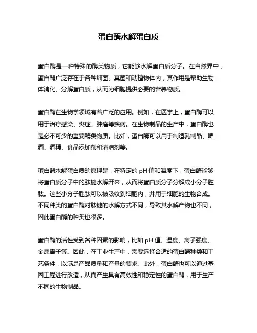 蛋白酶水解蛋白质