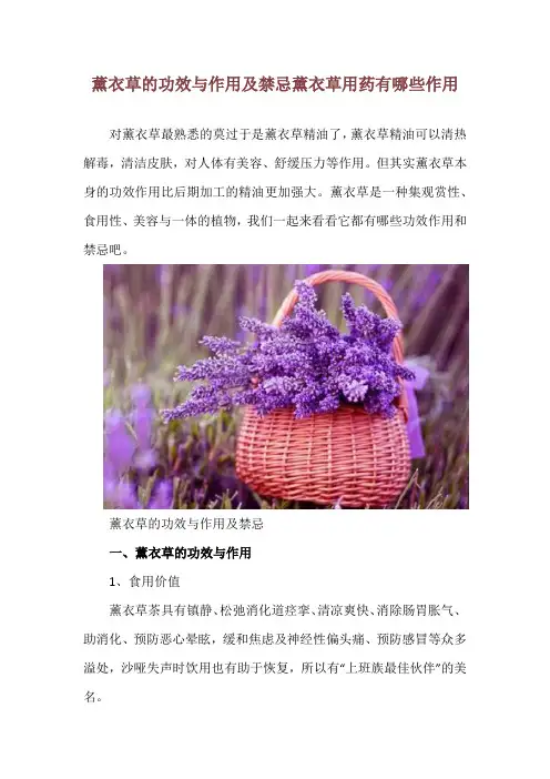 薰衣草的功效与作用及禁忌 薰衣草用药有哪些作用 