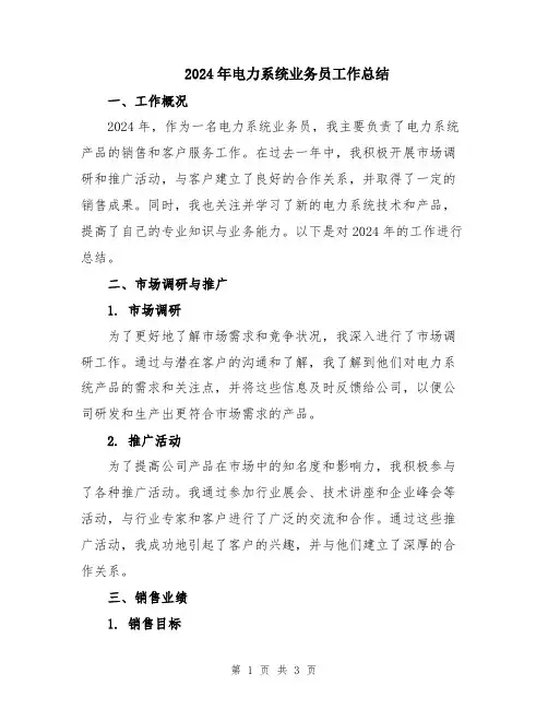 2024年电力系统业务员工作总结