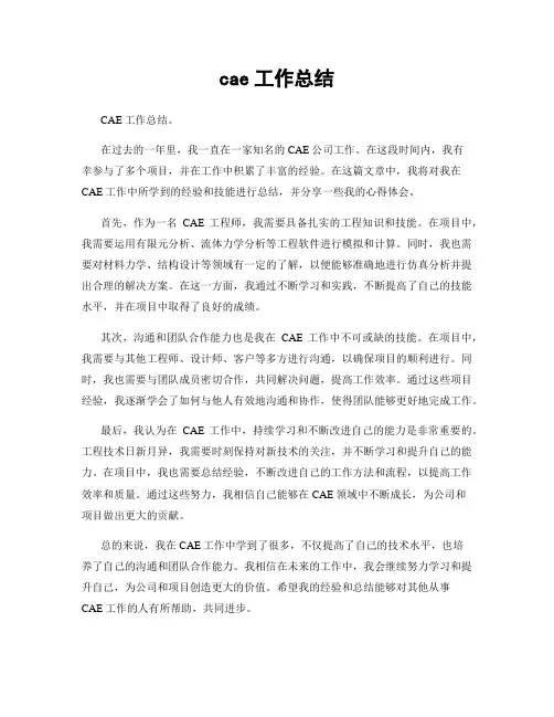 cae工作总结