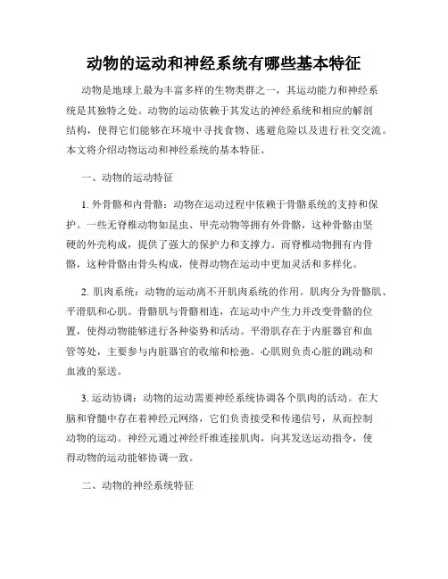 动物的运动和神经系统有哪些基本特征