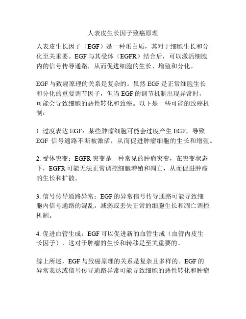 人表皮生长因子致癌原理