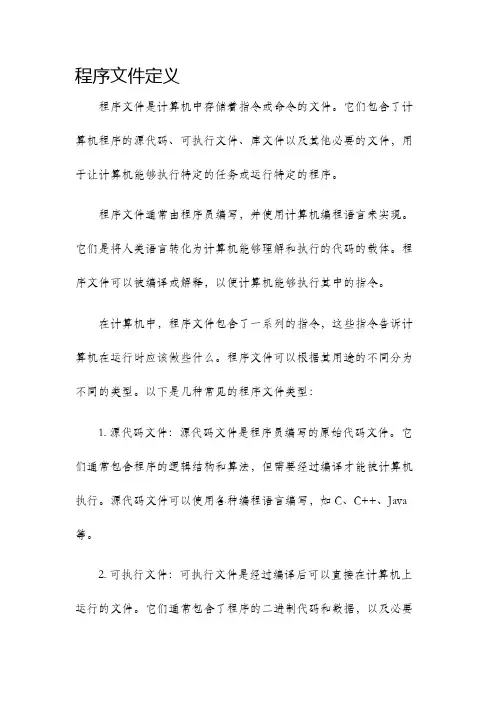 程序文件定义