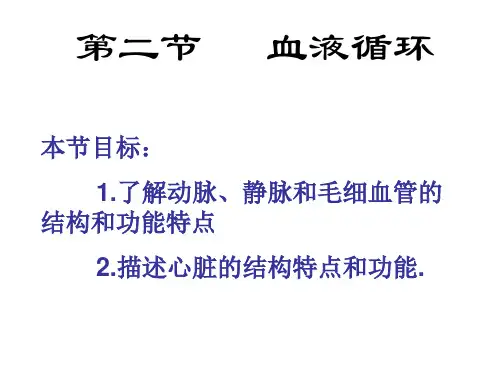 苏教版七年级下册生物：第五节人体能量的供给