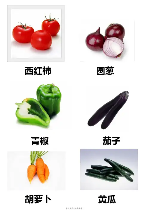 各种蔬菜图片总汇