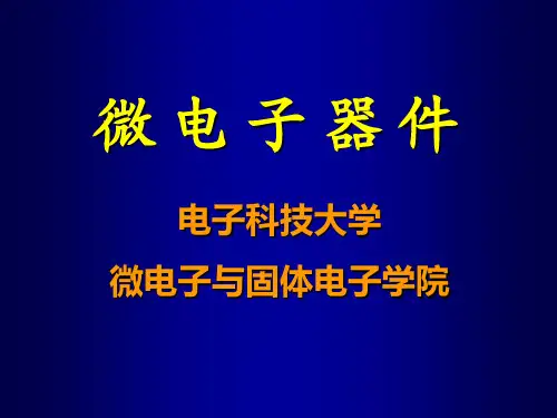 微电子器件