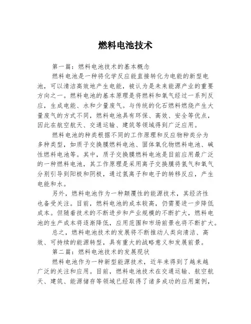燃料电池技术3篇