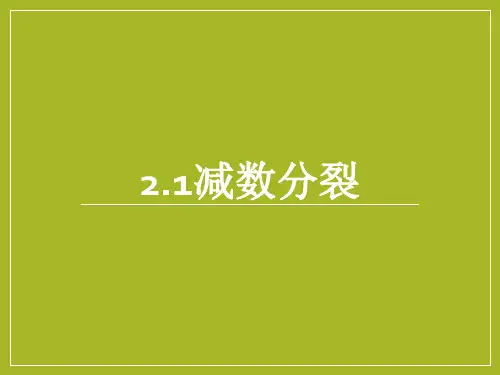 减数分裂说课--高一下学期生物人教版必修2