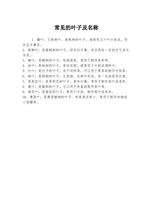 常见的叶子及名称
