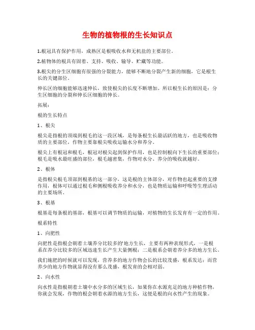 生物的植物根的生长知识点