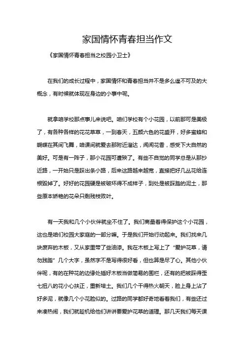 家国情怀青春担当作文