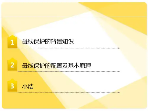 母线保护的配置及基本原理-广西电网电力调度控制中心