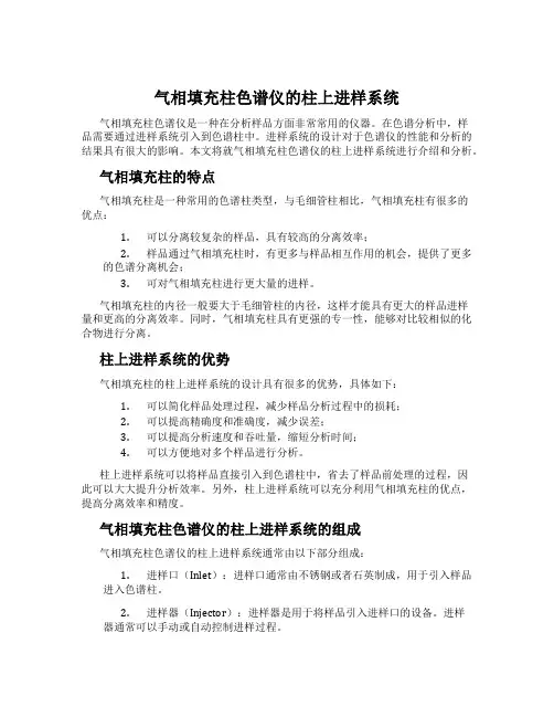 气相填充柱色谱仪的柱上进样系统