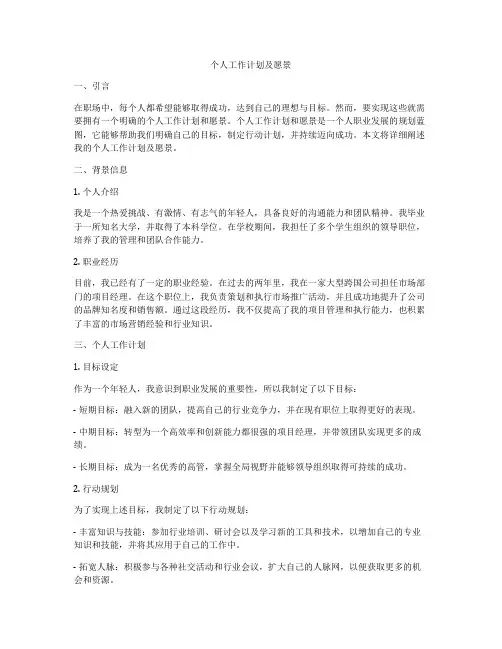 个人工作计划及愿景