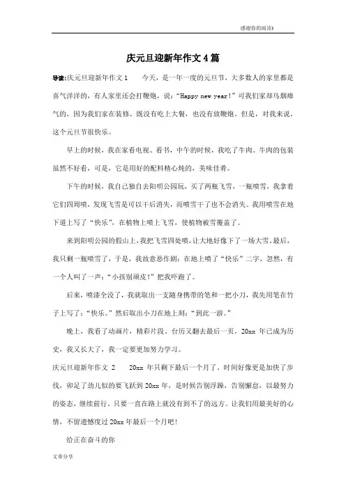 庆元旦迎新年作文4篇