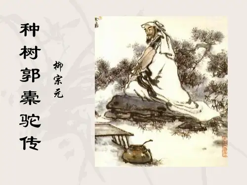 种树郭橐驼传上课用素材