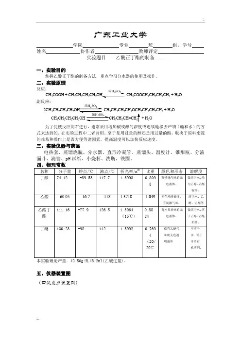 乙酸正丁酯的制备