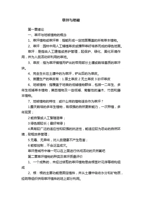 草坪与地被