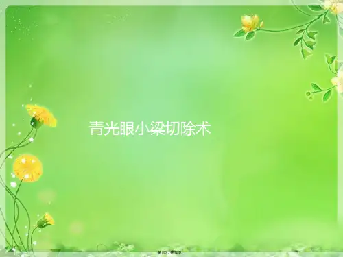 青光眼小梁切除术(共12张PPT)