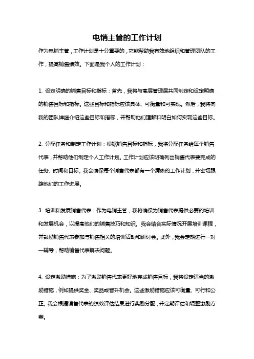 电销主管的工作计划