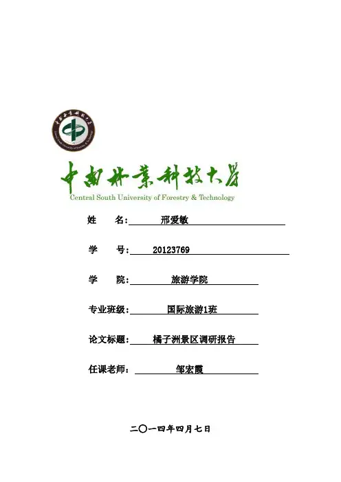 橘子洲调研报告