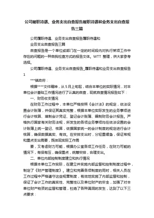 公司履职待遇、业务支出自查报告履职待遇和业务支出自查报告三篇