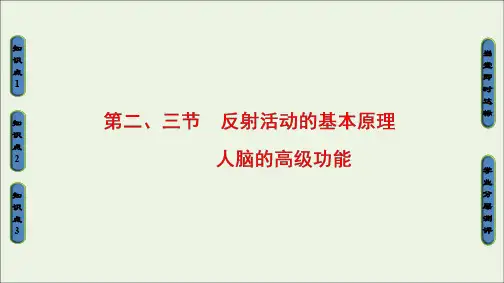 2019-2020学年高中生物第1单元第3章第23节反射活动的基本原理人脑的高级功能课件中图版必修3