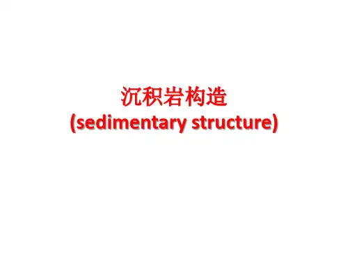 沉积岩构造2