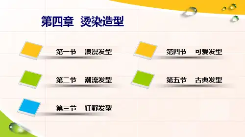 美发与形象设计(中级)PPT课件(共4章)第四章烫染造型