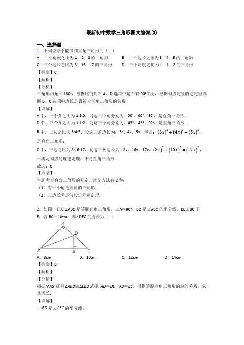 最新初中数学三角形图文答案(3)