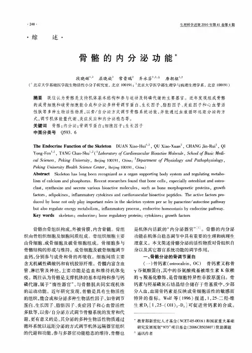 骨骼的内分泌功能