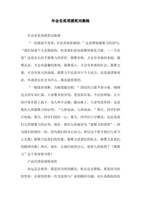 年会各奖项颁奖词集锦