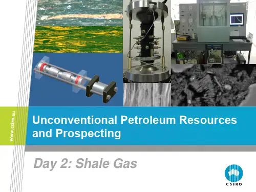 《非常规油气地质》ShaleGas