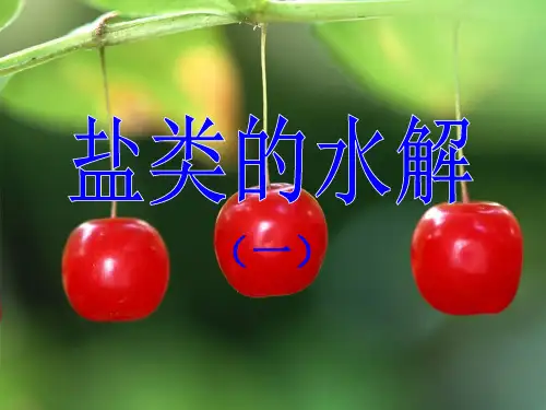 人教版化学选修四盐类的水解PPT(27页)