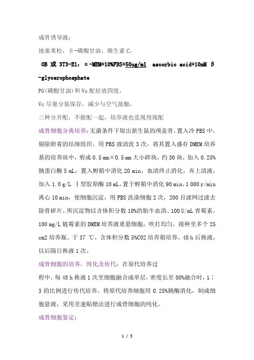 成骨细胞培养