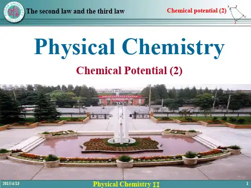 复旦大学物理化学AII 12-9 Chemical potential(2)