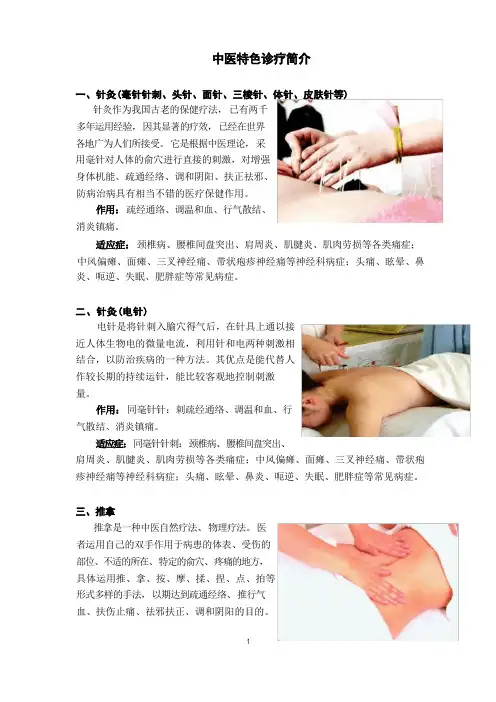 中医特色诊疗项目