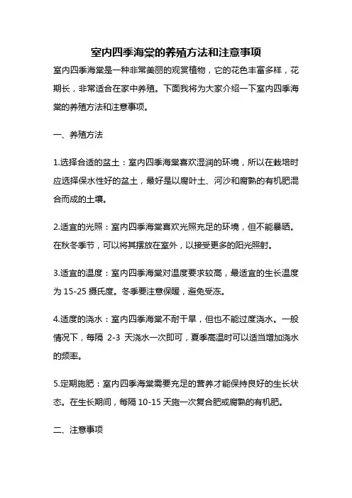 室内四季海棠的养殖方法和注意事项