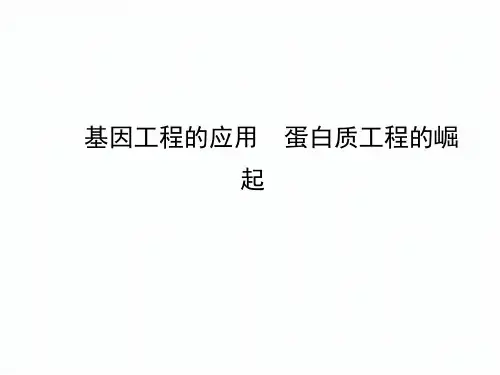 基因工程的应用  蛋白质工程的崛起 课件