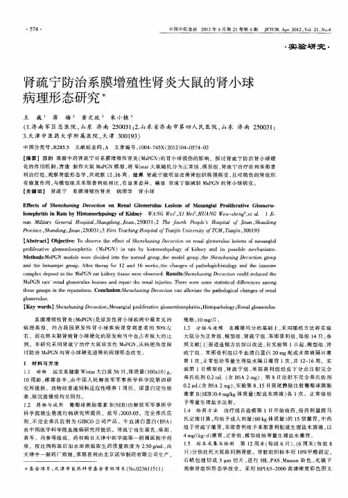 肾疏宁防治系膜增殖性肾炎大鼠的肾小球病理形态研究