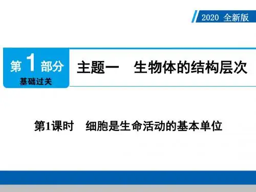 人教版中考生物单元复习：细胞是生命活动的基本单位 课件(共52张PPT)