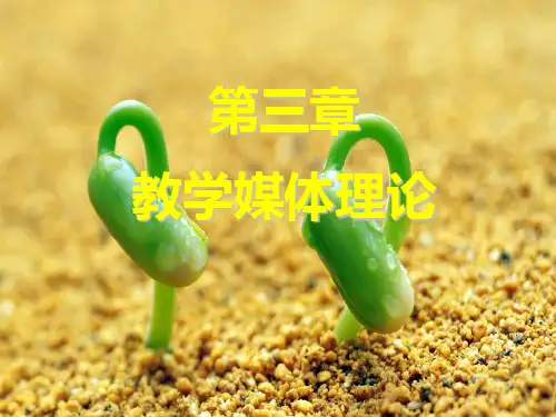 现代教育技术第3章.教学媒体理论PPT